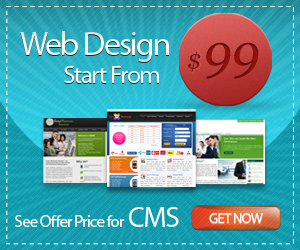 Website Development Company India,Best Web Design,Custom Application Development,SEO Services Company India